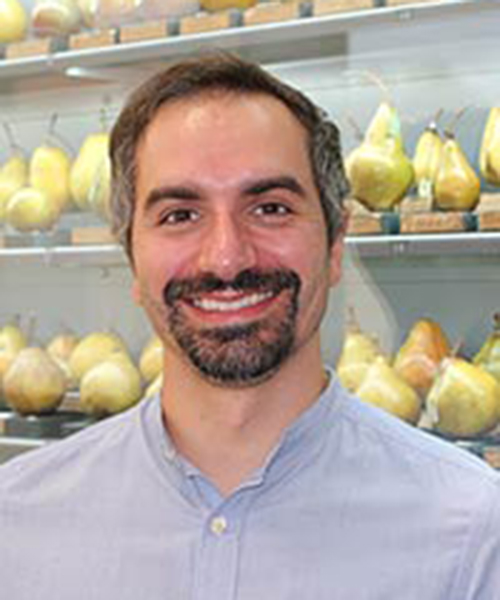 Breezing: a new dedicated Italian plum breeding program