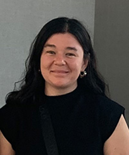 Influence of silicon application on the agronomic and nutritional performance of container grown highbush blueberries