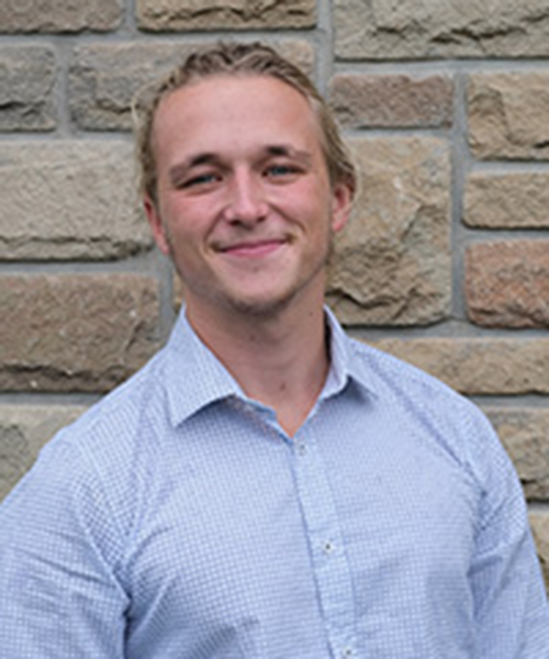 Effect of light intensity and branch origin position on Cannabis sativa inflorescence density and THC content