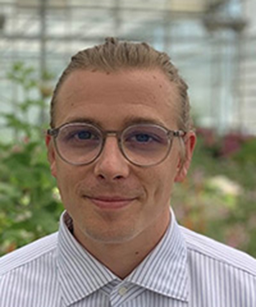 Peat shrinkage during drying according to particle size