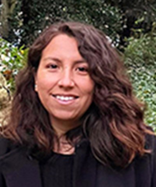 Native lomas species of Peru as potential plants for urban green in Lima