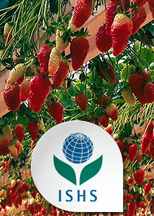 ISHS Hort Forum Episode 6: Perspectives on Scientific Research to Meet Academic Goals vs. Research to Directly Address Industry Needs