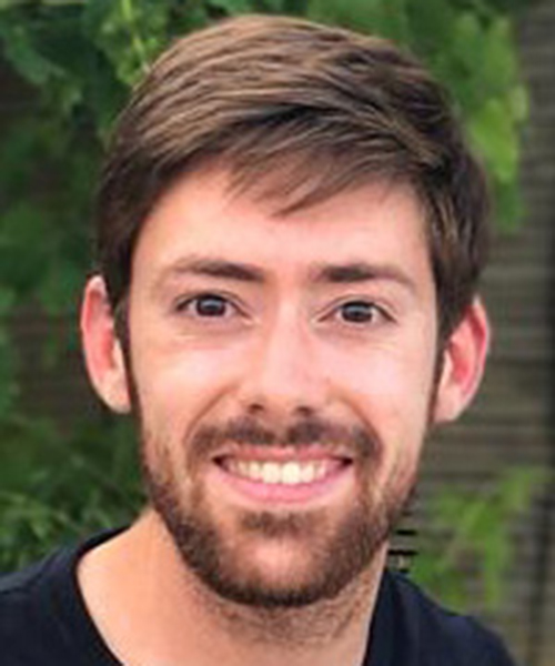 Mimicking the fruit repression effect on Citrus flowering through continuous gibberellic acid treatments