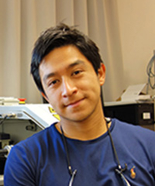 Stimulation of adventitious root formation by laser in rose cuttings