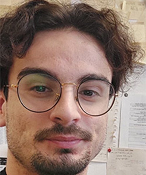 Red-flesh kiwifruit inner quality scoring by a computer vision system