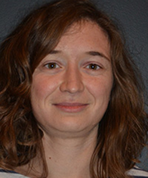 Modifications of the texture of tomato purees by variety selection or by processing methods result from various physico-chemical parameters