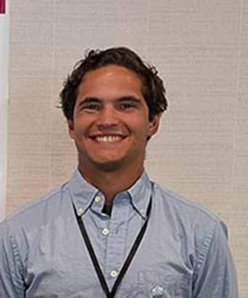 Nitrogen storage and biennial bearing in apple