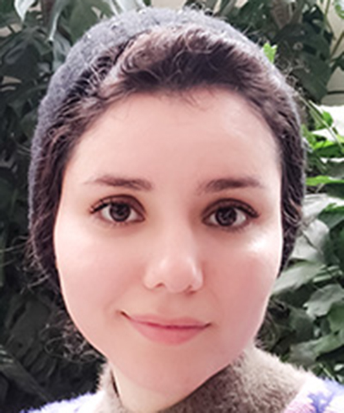 Aggregated nanoporous microparticles for slow release of plant growth regulators and their use for in vitro tissue culture