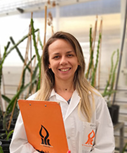 Cactus pear and pitaya: fruit production and orchard management