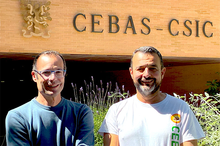 Member Highlights – Manuel Rubio & David Ruiz